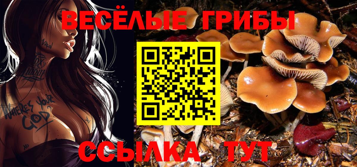 Галлюциногенные грибы ЛСД  Вход с VPN  Тихорецк 