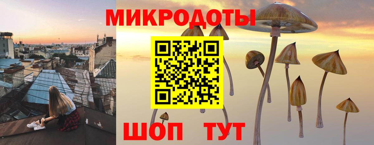 Псилоцибиновые грибы прущие грибы Тихорецк